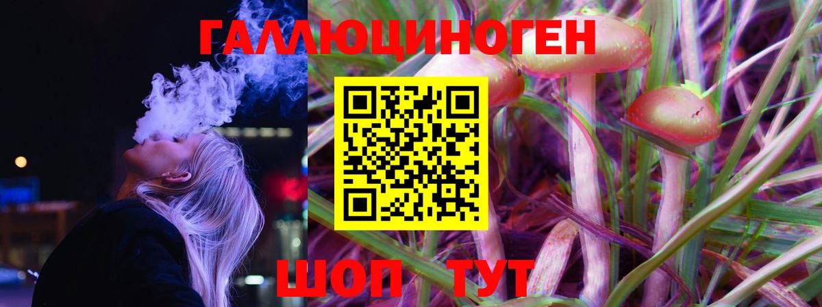 Галлюциногенные грибы Psilocybe  закладки  Вход с VPN  Сегежа  Галлюциногенные грибы ЛСД 
